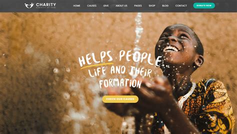 best wordpress themes for nonprofits|Top 15 Best WordPress Themes for Nonprofit Organizations.